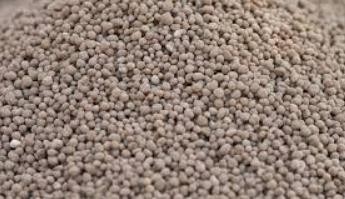 Diammonium Phosphate (DAP)