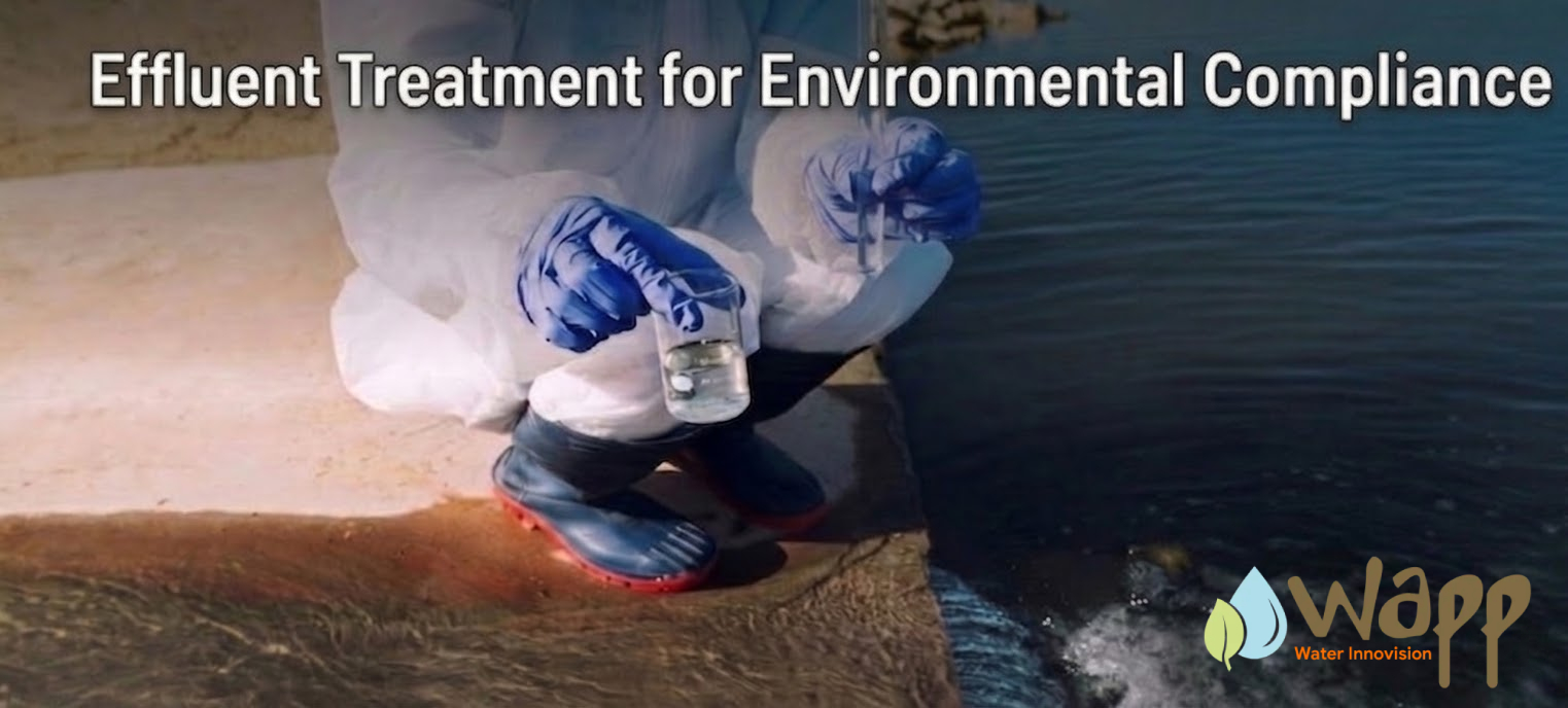 How Effluent Treatment Providers Maintain Environmental Compliance